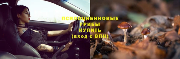 mdpv Верхний Тагил