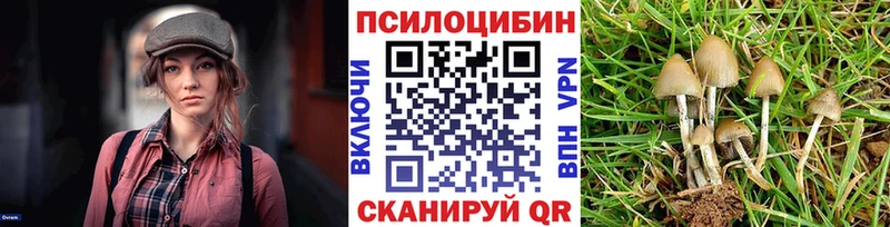 Псилоцибиновые грибы Cubensis  Купить закладки  Калач 